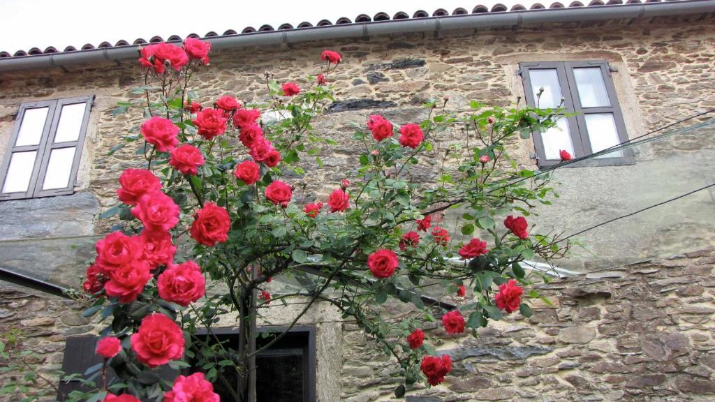 Casa Lucas Guest House Arzúa Екстериор снимка