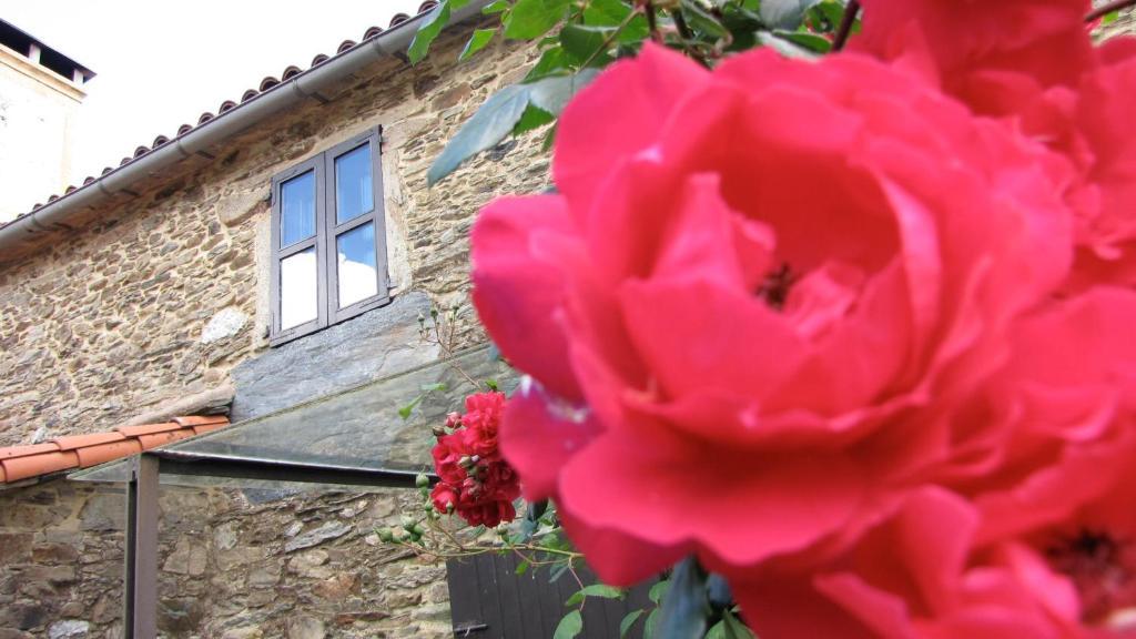 Casa Lucas Guest House Arzúa Екстериор снимка